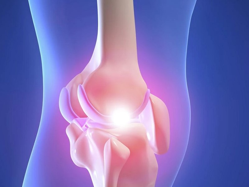 تاندون زانو چیست و چه وظایفی دارد؟