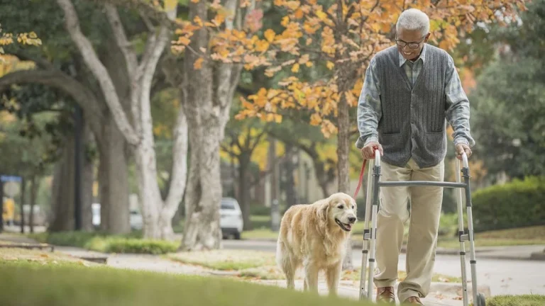 parkinsons disease in elderly